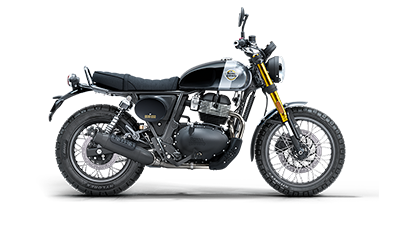 Royal Enfield Bear 650 Golden Shadow