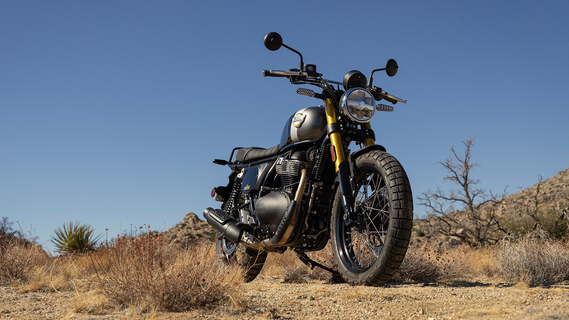 Royal Enfield Bear 650